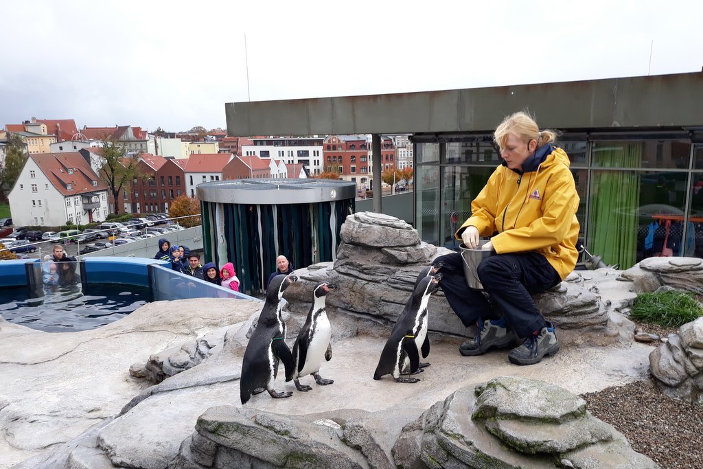 Segeltörn unserer Jugend von Rostock nach Breege/Rügen 2018